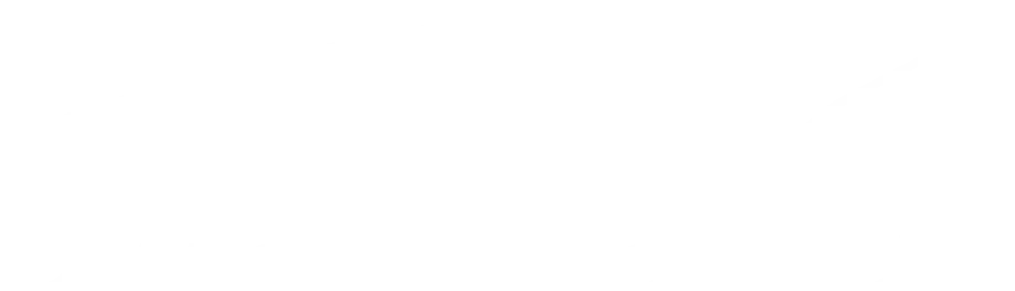 buena onda logo 1