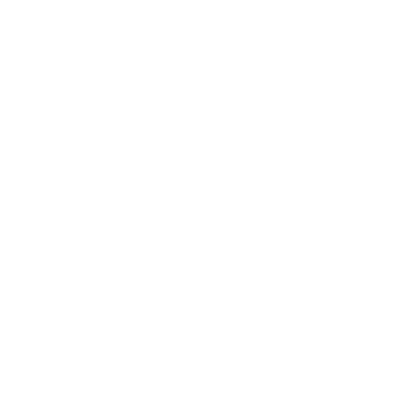 unibz logo white